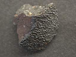 MurchisonDSCN2296.JPG