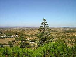 Ourique - Portugal c.jpg