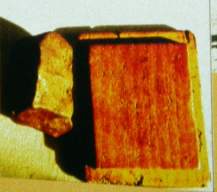 NOGATA  L6   472gr    expo marseille2000 Image1.jpg