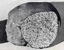 apt  2kg coll  museum paris 1946Image18.jpg